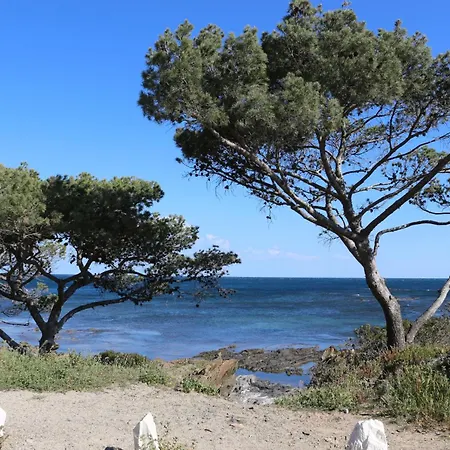 Classe 2 Etoiles A 5 Minutes Du Centre Et 10 Des Thermes Amélie-les-Bains-Palalda